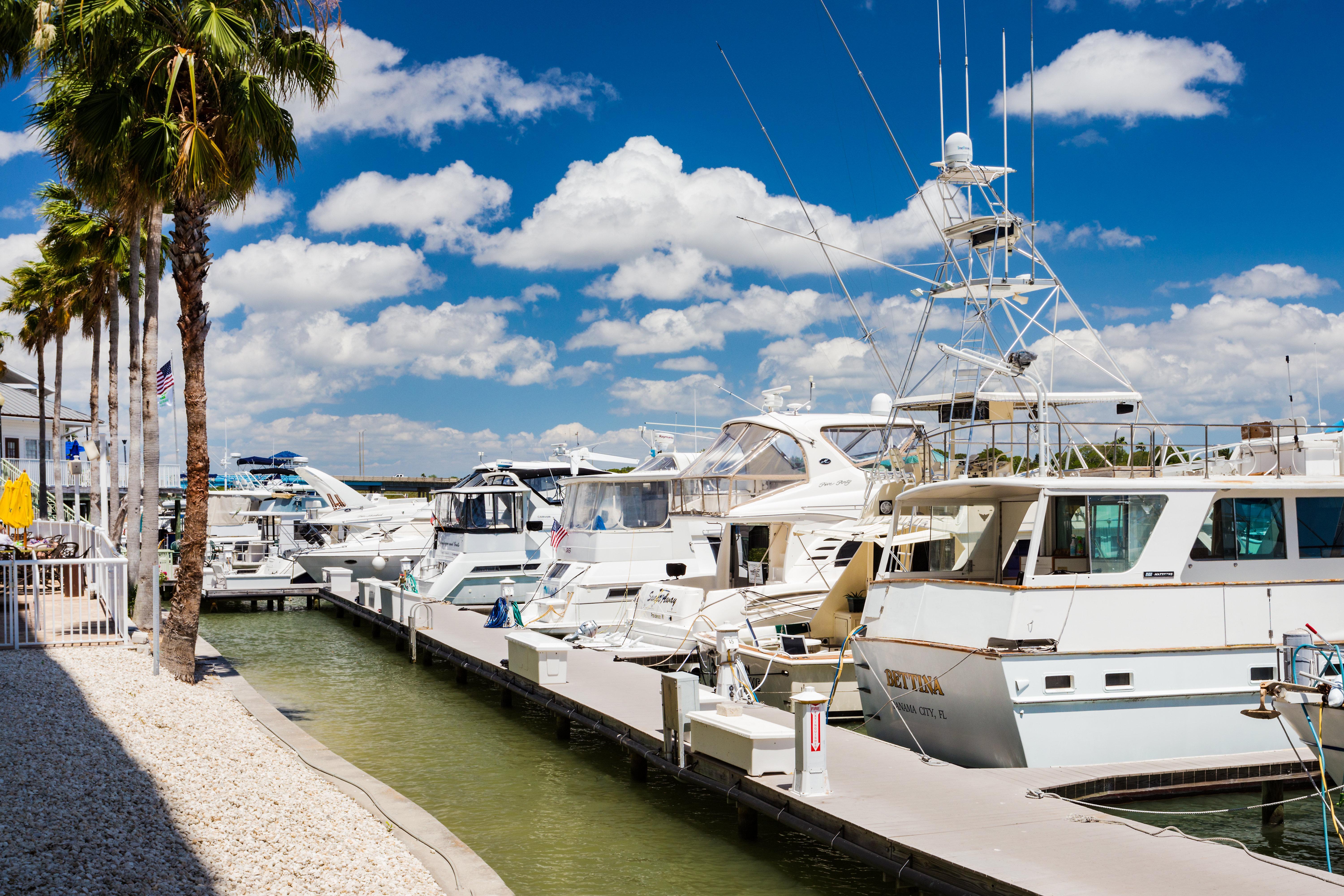 Holiday Inn & Suites Clearwater Beach S-Harbourside Kültér fotó